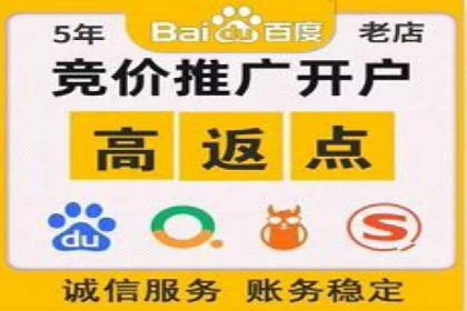 百度优化推广案例：打造行业领先品牌